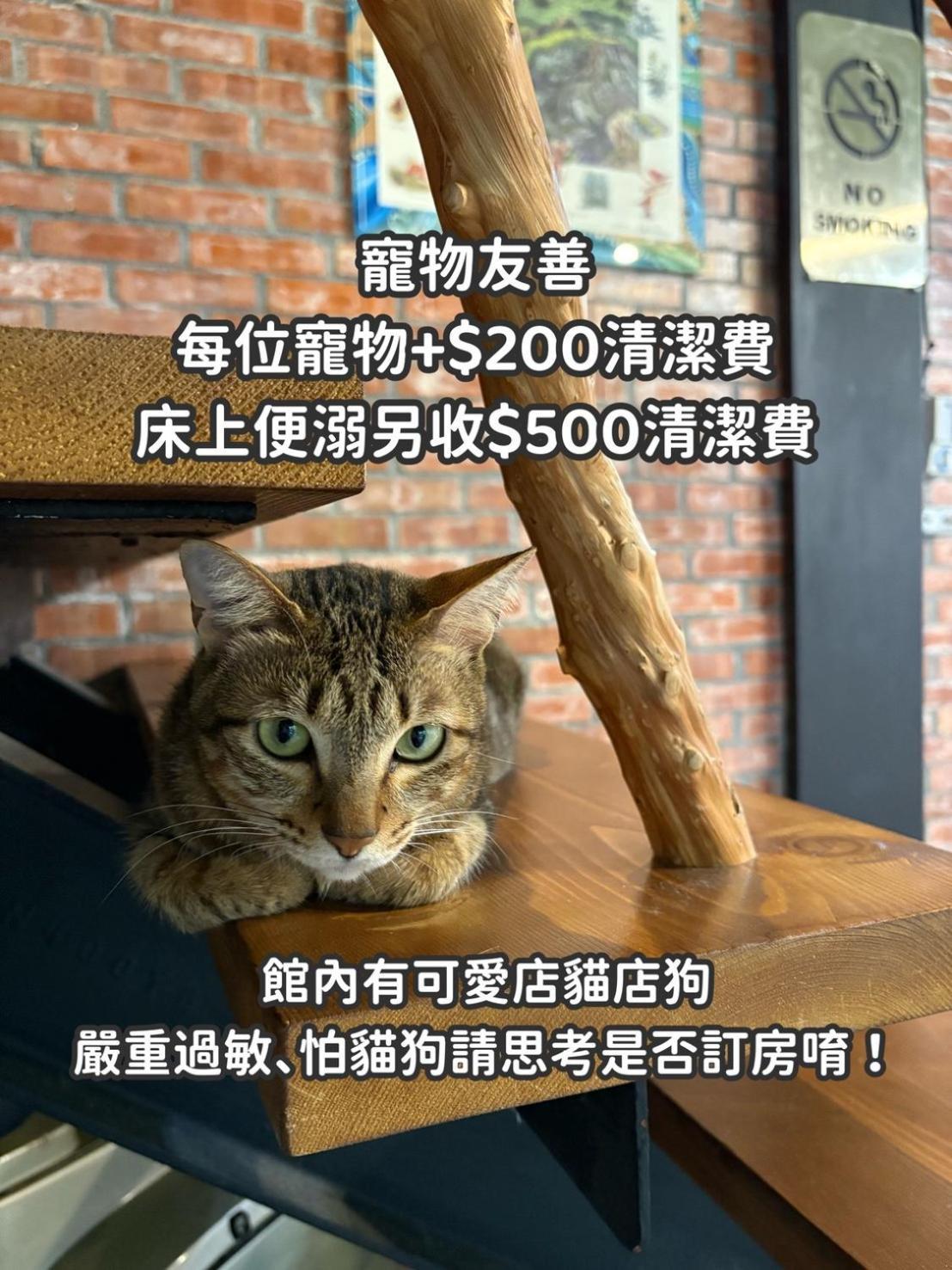 缽割貓點點 青旅 Diandian Hostel Puli Extérieur photo